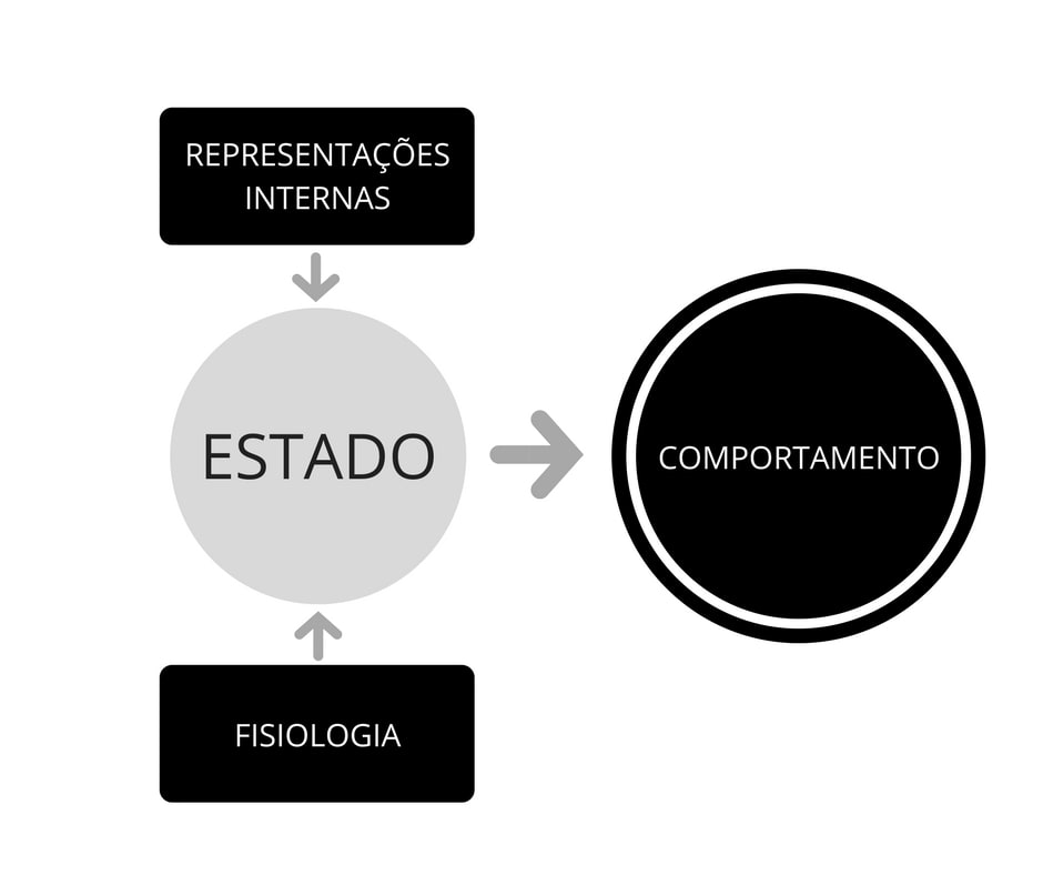 representações internas