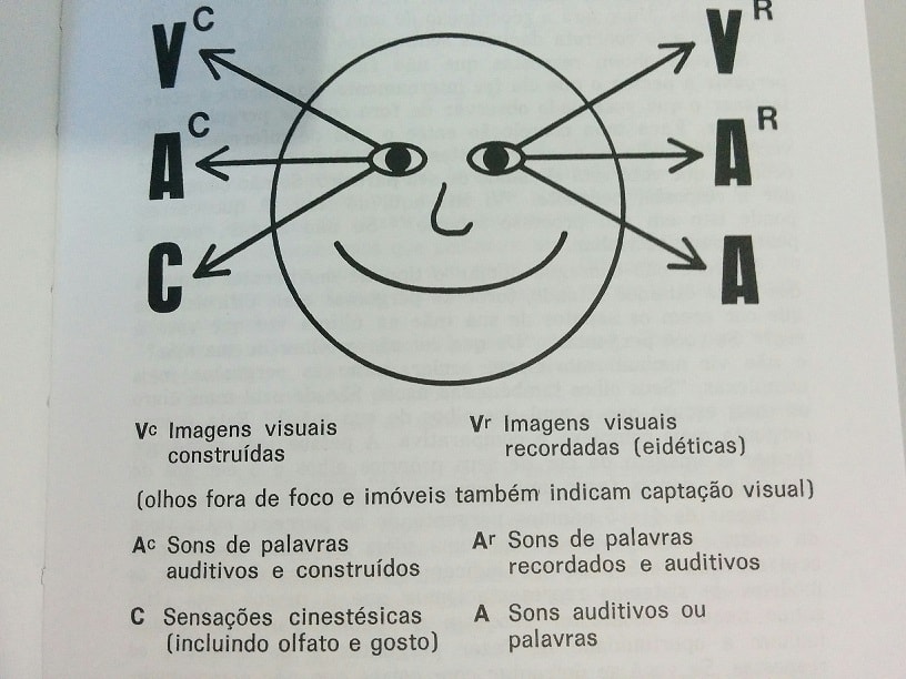 sistema representacional visual - sapos em principes