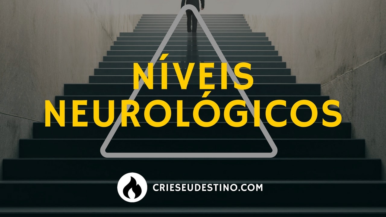 Leia mais sobre o artigo Níveis Neurológicos