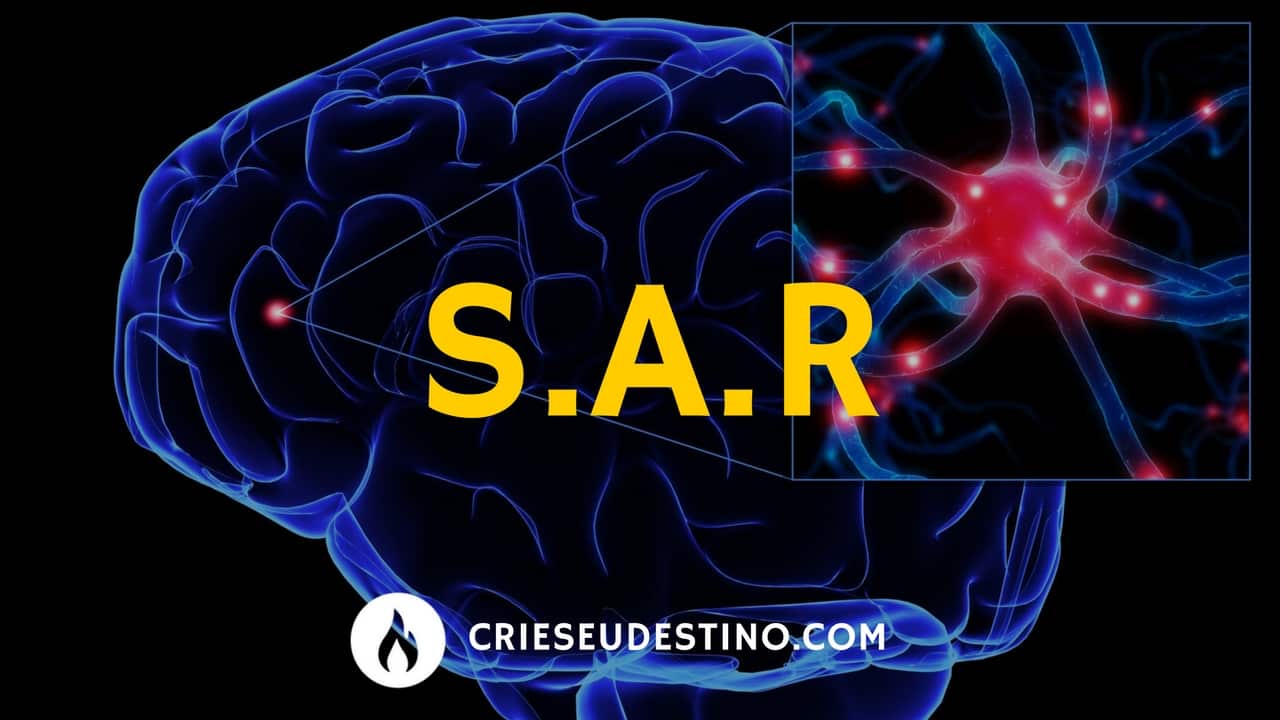 Leia mais sobre o artigo Sistema Ativador Reticular