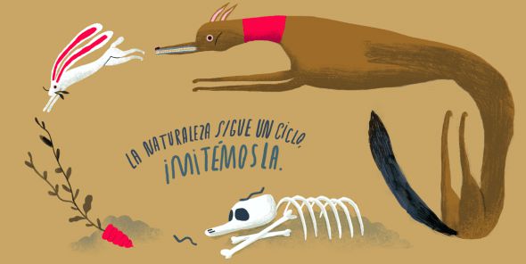 Metamorfose universal