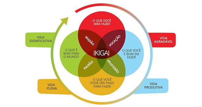 ikigai com conceito errado-min