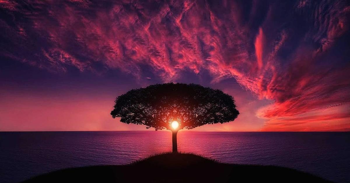 Carpe Diem et Memento Mori